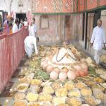 Vraj-Yatra-2014- (1207)